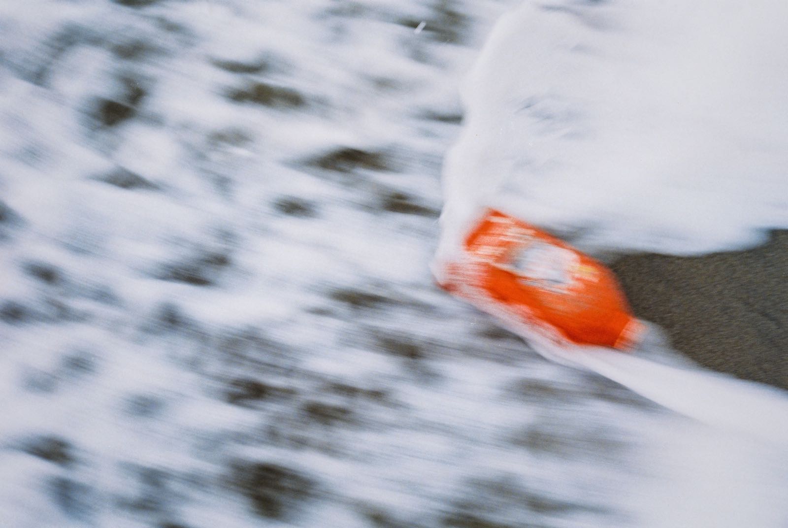 Fotos en color Viaje al país de los malententidos