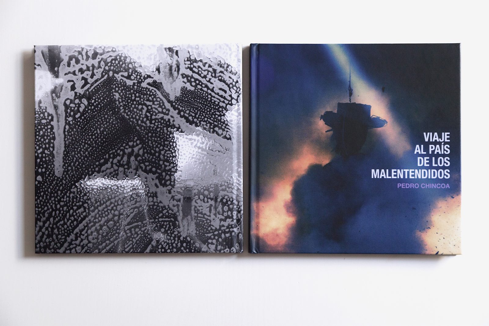 Portada en color del libro