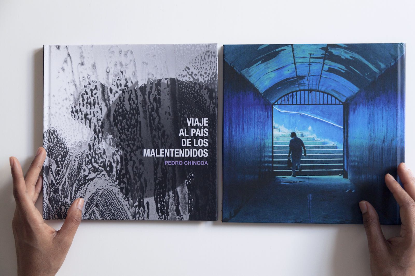 Portada en color del libro